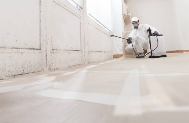 24/7 Emergency Commercial Mold Remediation experts in Drewryville, VA