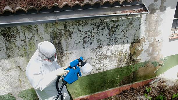Top rated local Commercial Mold Remediation specialists in Drewryville, VA